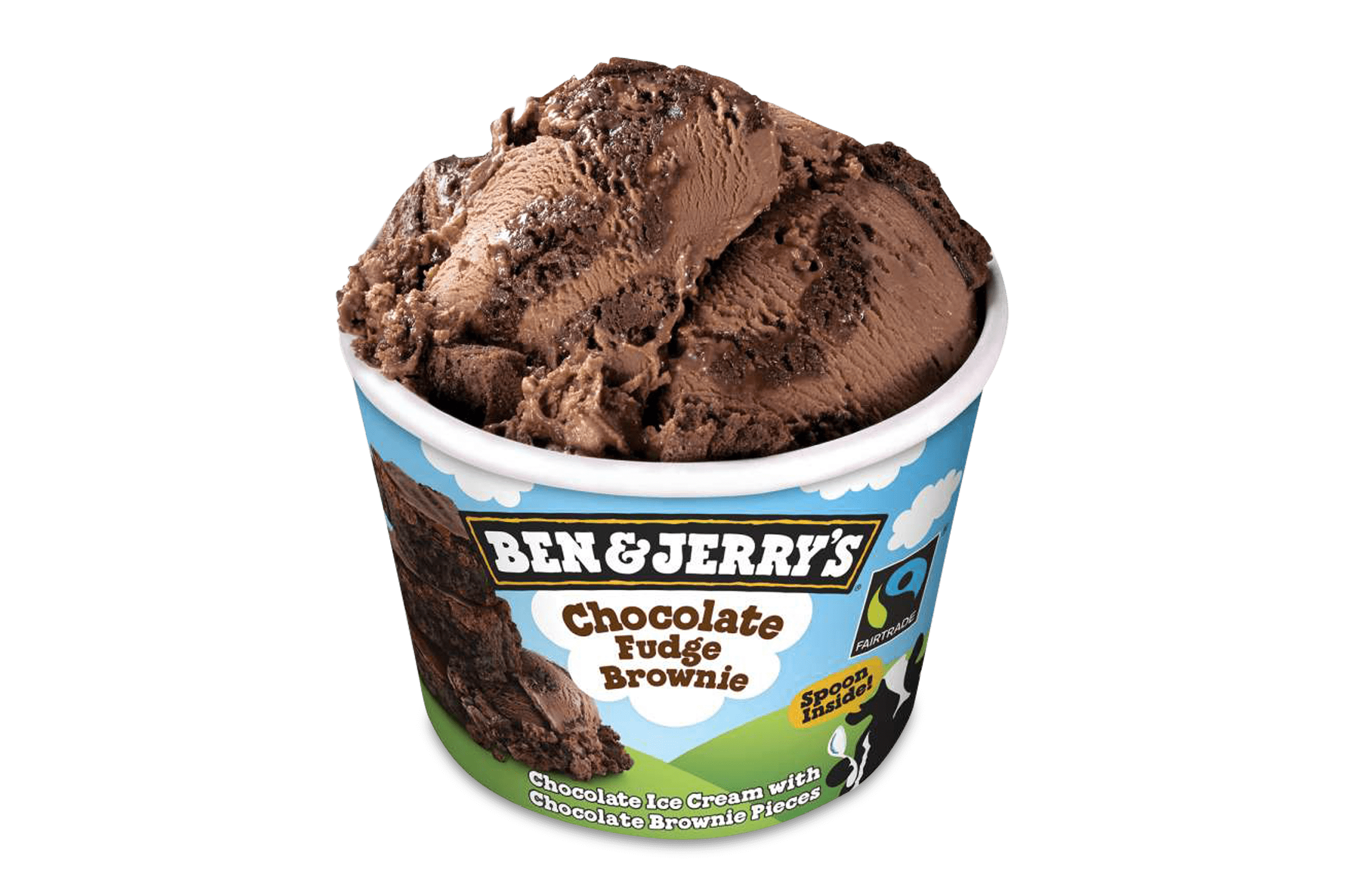 Ben and Jerrys Chocolate Fudge Brownie 100 ml 1
